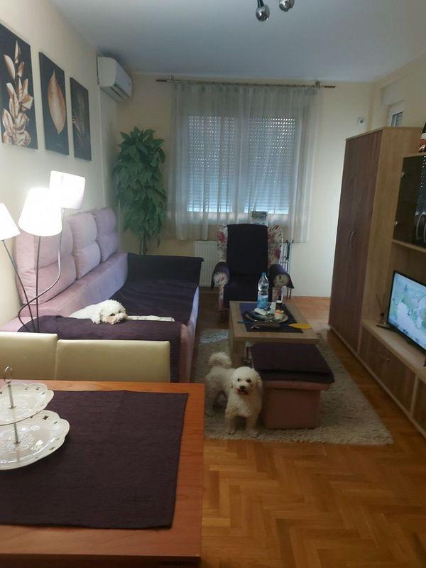 Glavna slika -Novi Sad, 41m2, dvosoban stan, novogradnja, 118.450 €